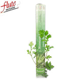 20 Sticks/Pack Mint Aroma Spice Cored Incense