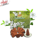 10 Cones/Pack Night Queen Aroma Spice Incense