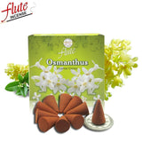 10 Cones/Pack Carnation Aroma Spice Incense